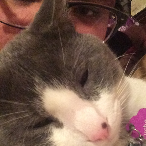 Meet your Posher, Isabel - Picture 2 of 2